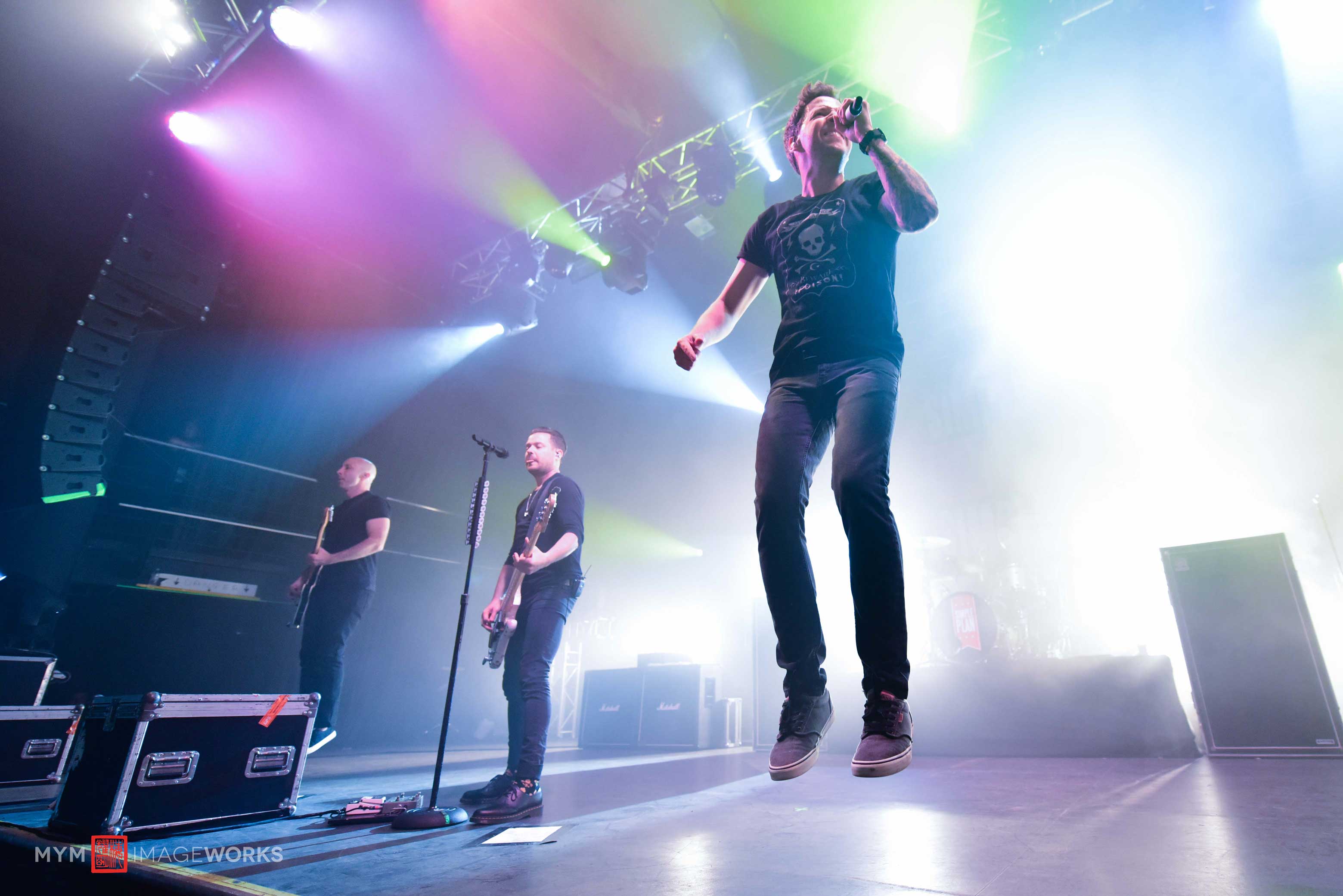 concert photography -THREEFOLD GROWTH IN REVENUE BY 2020