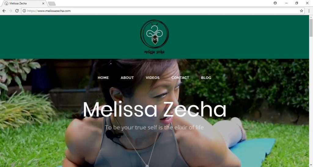 mellisa Zheca website